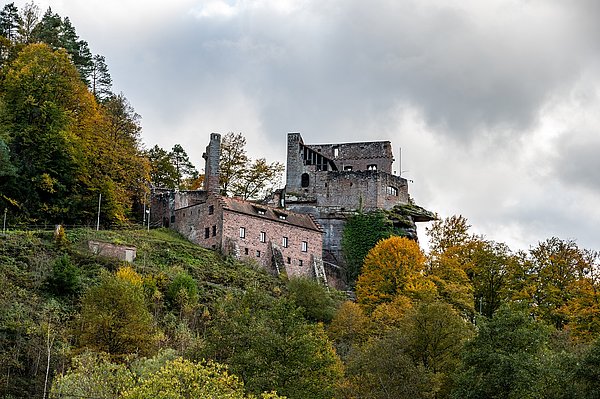 Burg Spangenberg umgeben von Wald