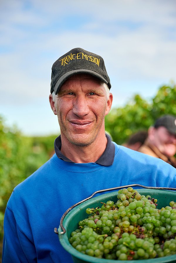 Markus im Weinbau der Lebenshilfe