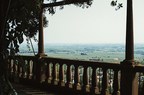 Fotografiert auf dem Balkon mit dem Blick auf den Pfälzerwald